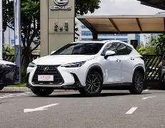开云体育APP下载-Nx"K$慭膔6晆CWヤ_=